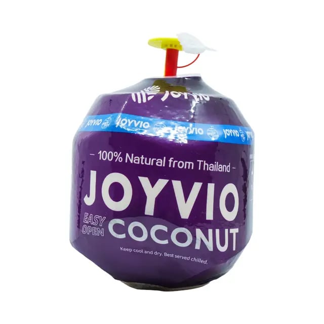 Chinese firms eye Philippines for coconut processing plants
