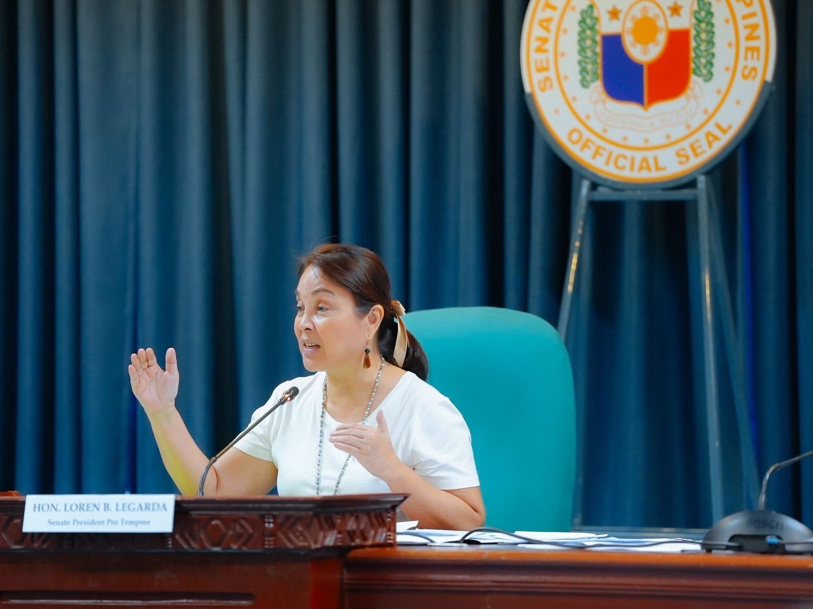 Loren, kinalampag ang energy at telco giants para sa Aklan at Antique