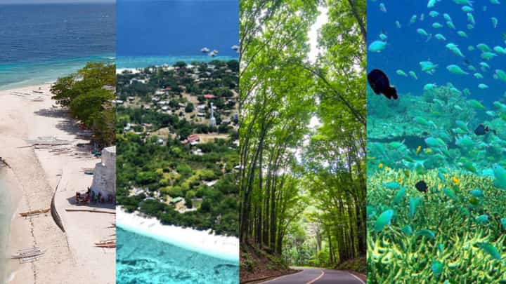 In Bohol, discovery is not rushed