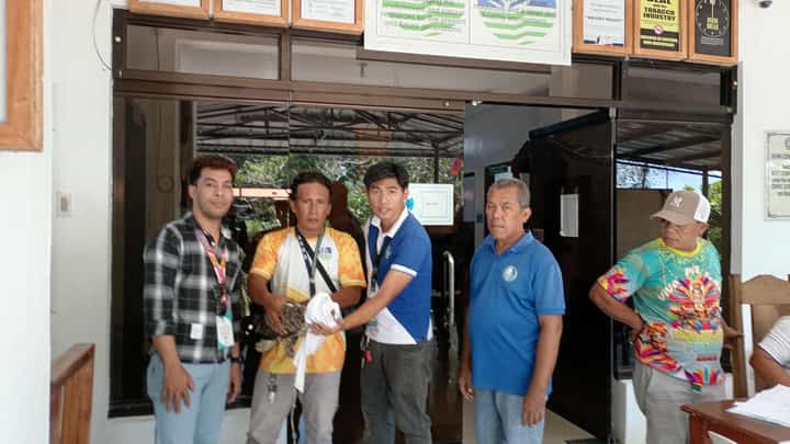 Leyte MENRO Dave Singcol turns over a rescued White Sea Eagle to CENRO oofficials in Ormoc City.