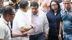 Alan, Jonvic lock horns over Jinggoy's arrest at Senate building