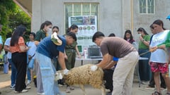Bataan holds deworming drive, livestock health symposium
