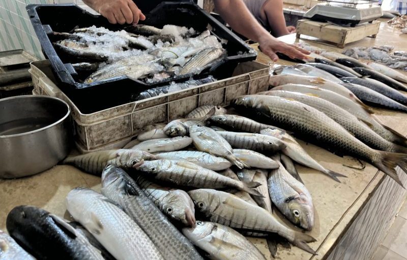 BFAR reports fish kill, red tide