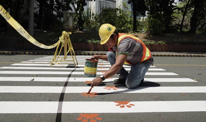 Miescor Logistics employee paints the “pawdestrian” lane, an everyday reminder of the safe and harmonious coexistence between people and community animals within the Meralco workplace.