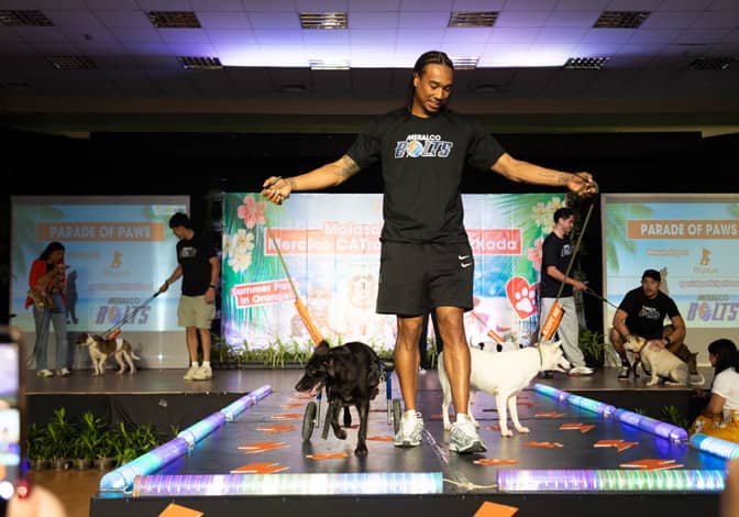 MERALCO Bolts players join CATropa in walking rescue dogs from Biyaya Animal Care, helping raise awareness for adoption and responsible pet ownership.
