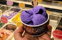 UBE gelato on display, highlighting one of the featured treats in SM Supermalls' Ube Nation campaign.