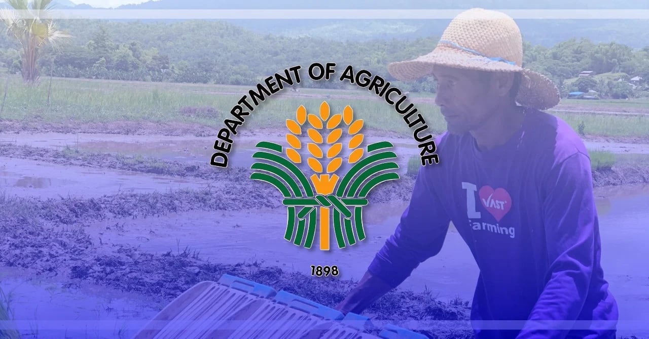 DA revives El Niño task force as dry spell threat looms
