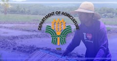 DA revives El Niño task force as dry spell threat looms