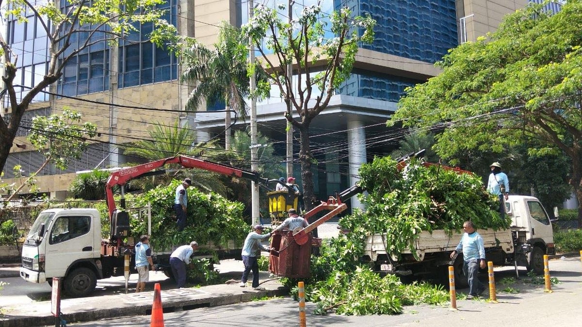 PERSONNEL from the city’s development department conduct clearing operations and tree-trimming programs to make Makati’s streets clear from obstructions.