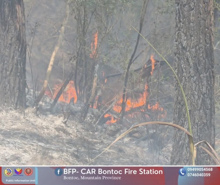 Mountain Province pushes tree planting after wildfire damage