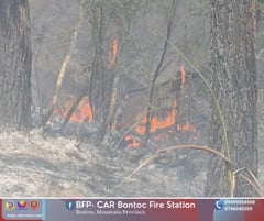 Mountain Province pushes tree planting after wildfire damage