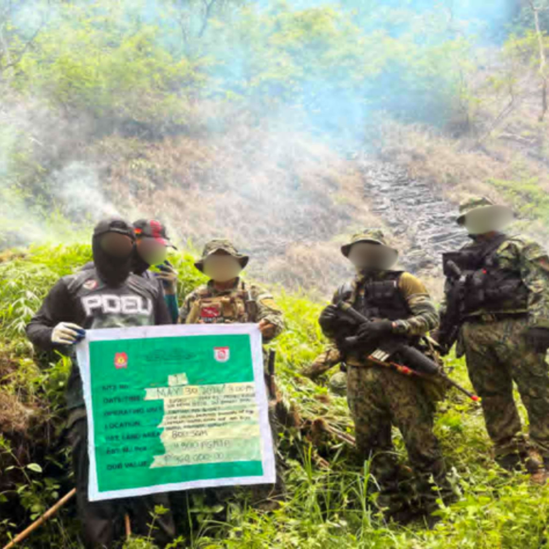 Marijuana plants worth nearly P2M destroyed in Ilocos Sur, Benguet raids
