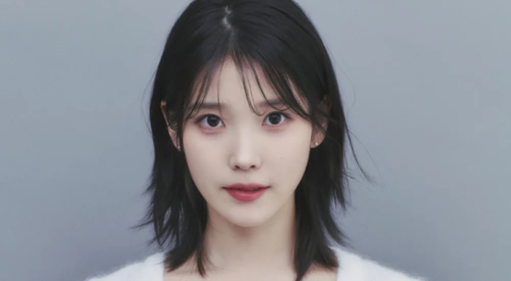 IU's malicious commenter receives harsher suspended prison sentence