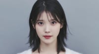 IU's malicious commenter receives harsher suspended prison sentence