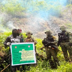 Over P4.8 million worth of marijuana plants destroyed in Ilocos Sur operations