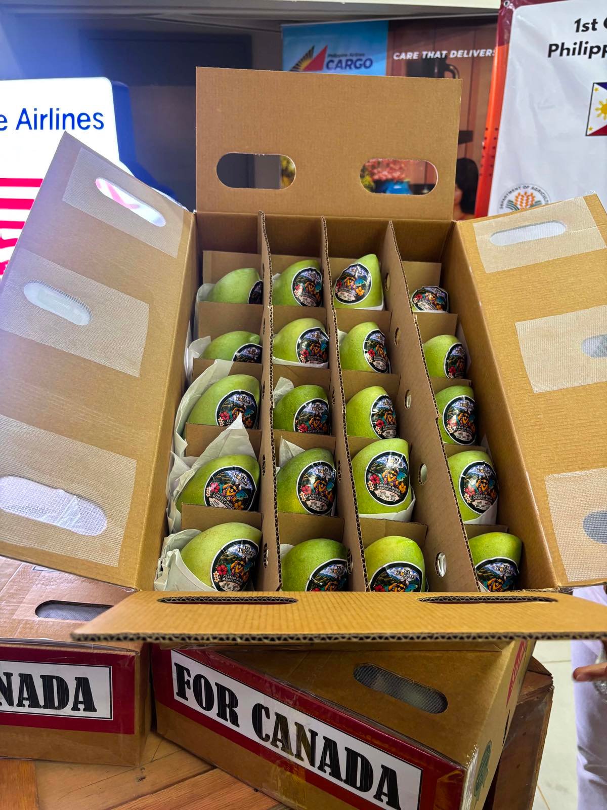 Philippine mangoes enter Canadian market