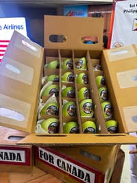 Philippine mangoes enter Canadian market