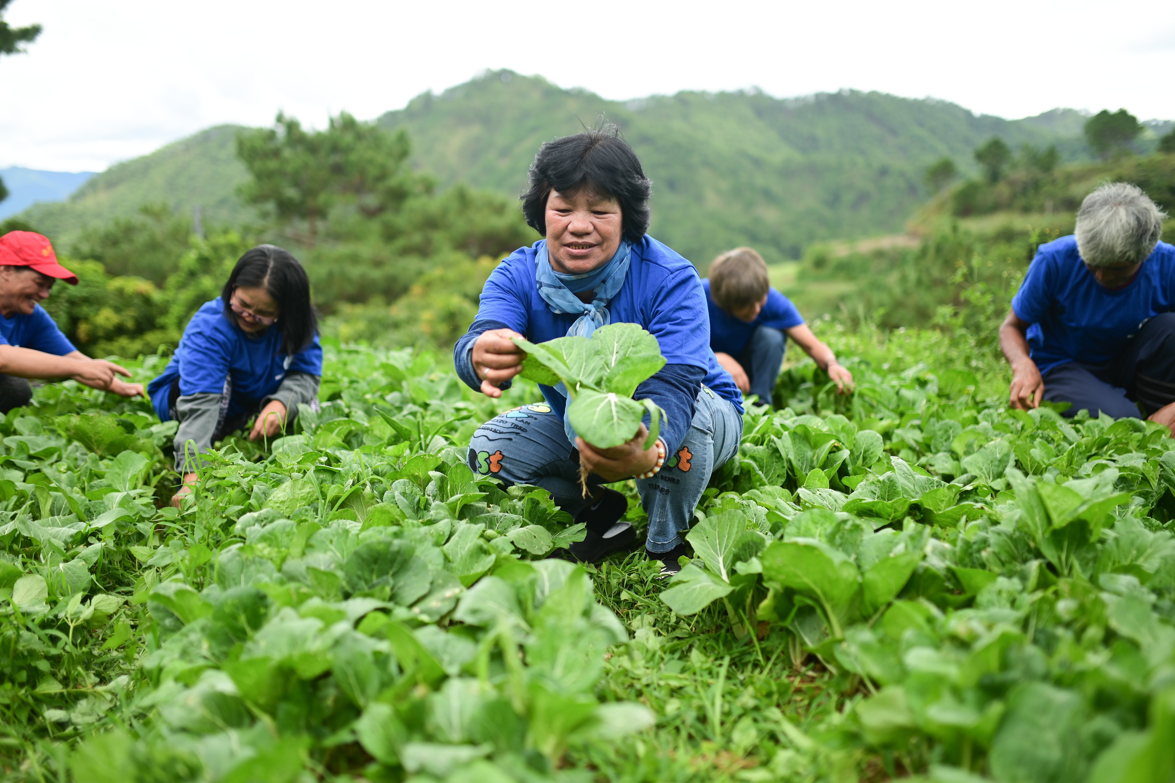 Harvesting Opportunity, Growing Hope 