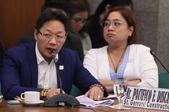 Ombudsman files graft, malversation raps vs. Discaya couple, DPWH officials