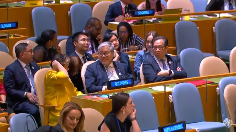 Palace blames political turmoil for failed UN Security Council bid
