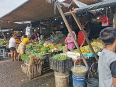 UPLIFT instrumental on lowered inflation rate—Palace