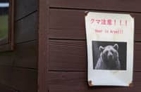 ‘Extremely intelligent’ bear at large after hurting four