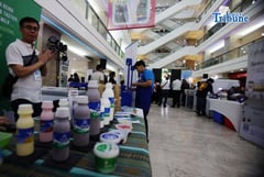 Dairy Fair