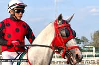Philracom ruling reduces Triple Crown 2nd leg field