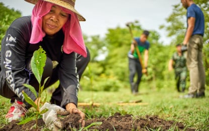 Reforestation drive plants 200 trees