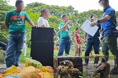 Wildlife rescued in anti-trafficking operation
