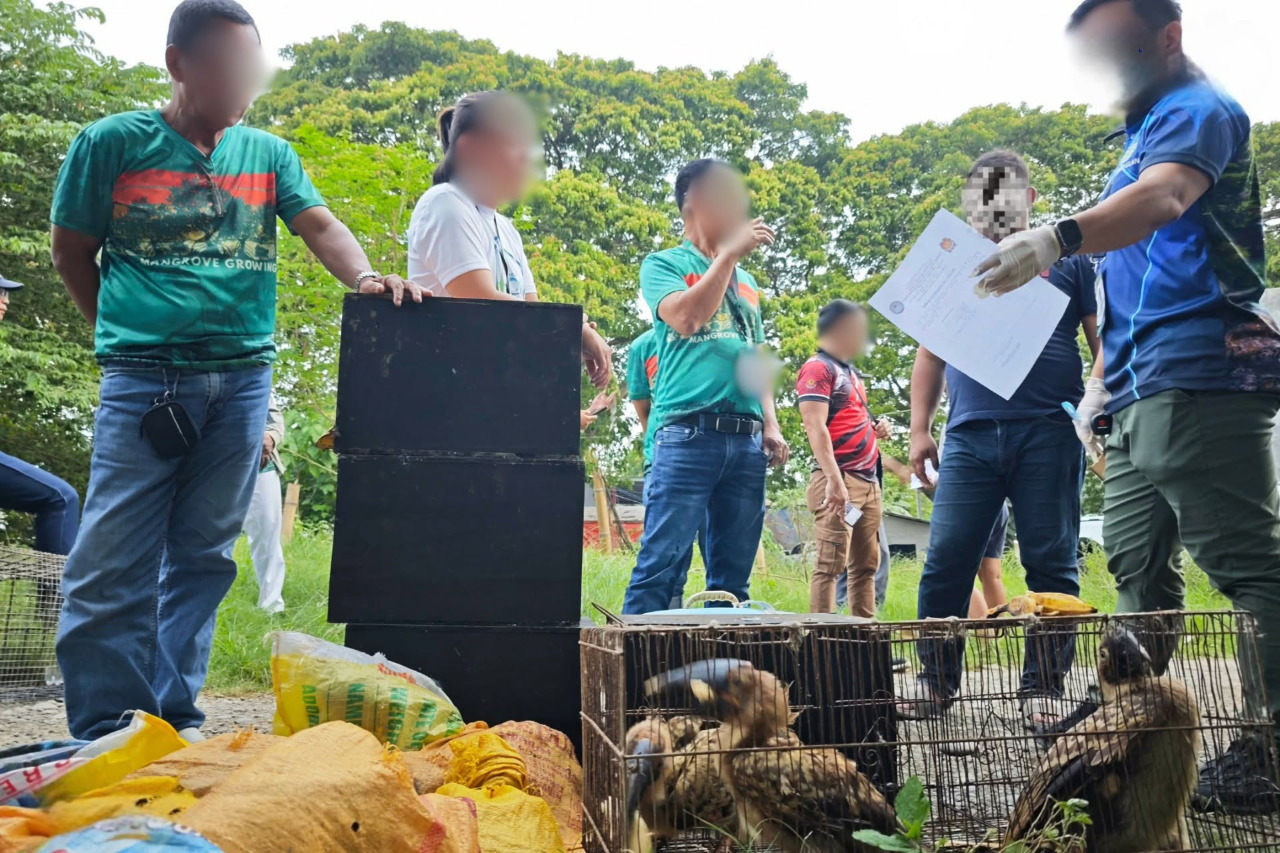 Wildlife rescued in anti-trafficking operation
