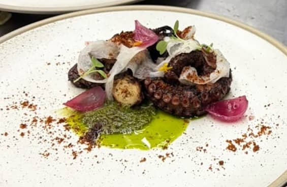 PULPO