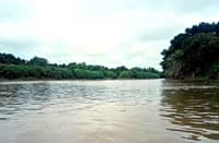 ON top of supporting livelihood, the river traversing the Agusan Marsh Wildlife Sanctuary breaks the isolation of a small Manobo community deep within a protected area by linking it to the outside world.