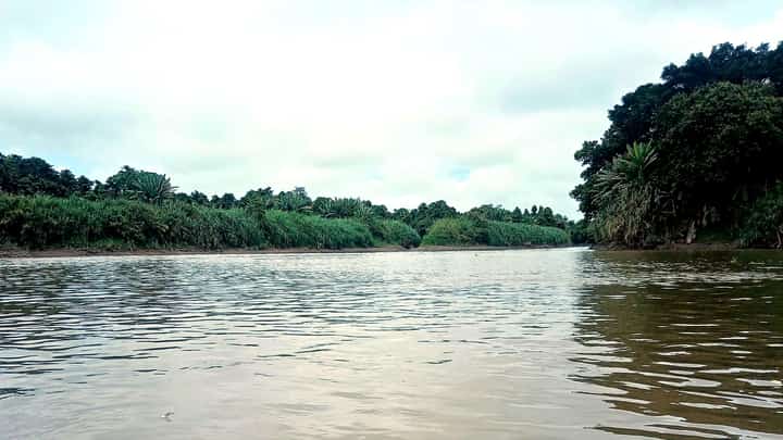 ON top of supporting livelihood, the river traversing the Agusan Marsh Wildlife Sanctuary breaks the isolation of a small Manobo community deep within a protected area by linking it to the outside world.