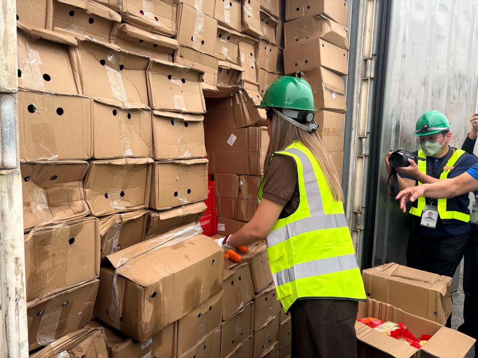 DA, BOC seize P7 million smuggled carrots