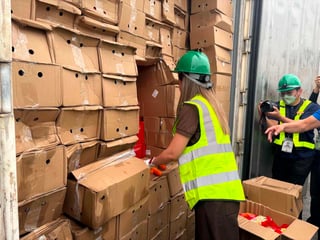 DA, BOC seize P7 million smuggled carrots