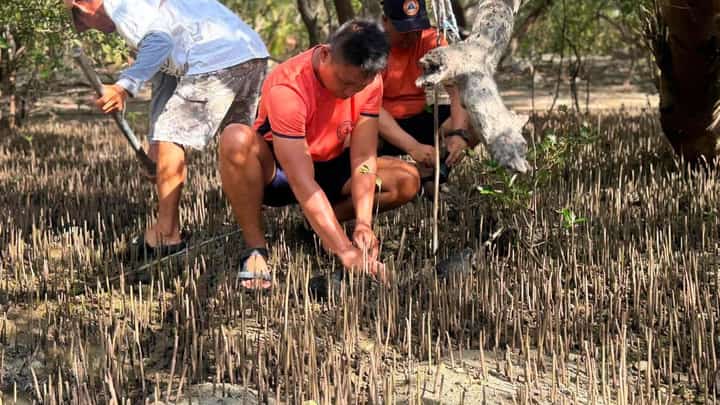 A MEMBER of the Coast Guard Station in Batangas take part in the IF mangrove planting event in Barangay Binubusan, Lian, Batangas.