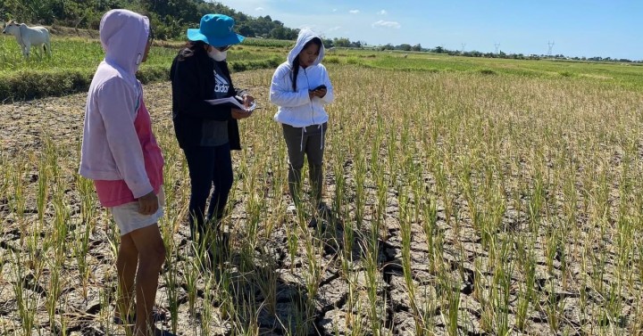 Solon urges gov’t-funded land leveling vs El Niño