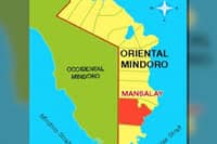 Mindoro power infra to undergo rehab—Palace