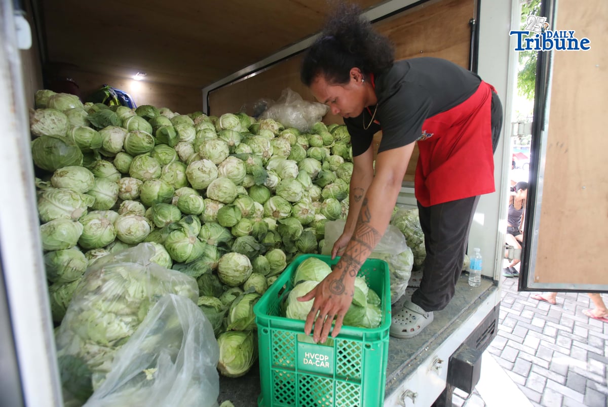 ANALY LABOR