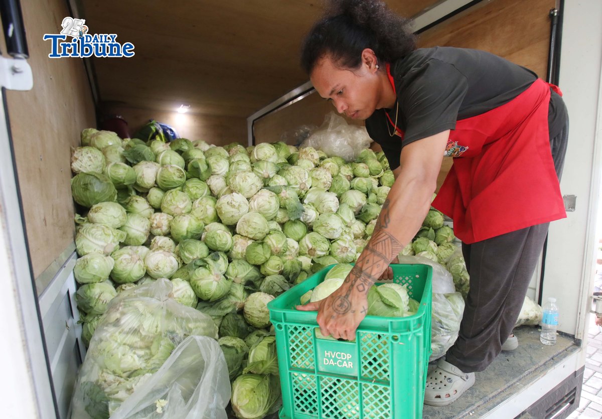 ANALY LABOR