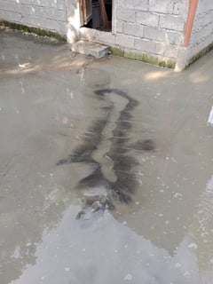 Koronadal City experiences soil liquefaction after 7.8 magnitude earthquake