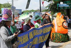 Fisherfolk rally at the DA
