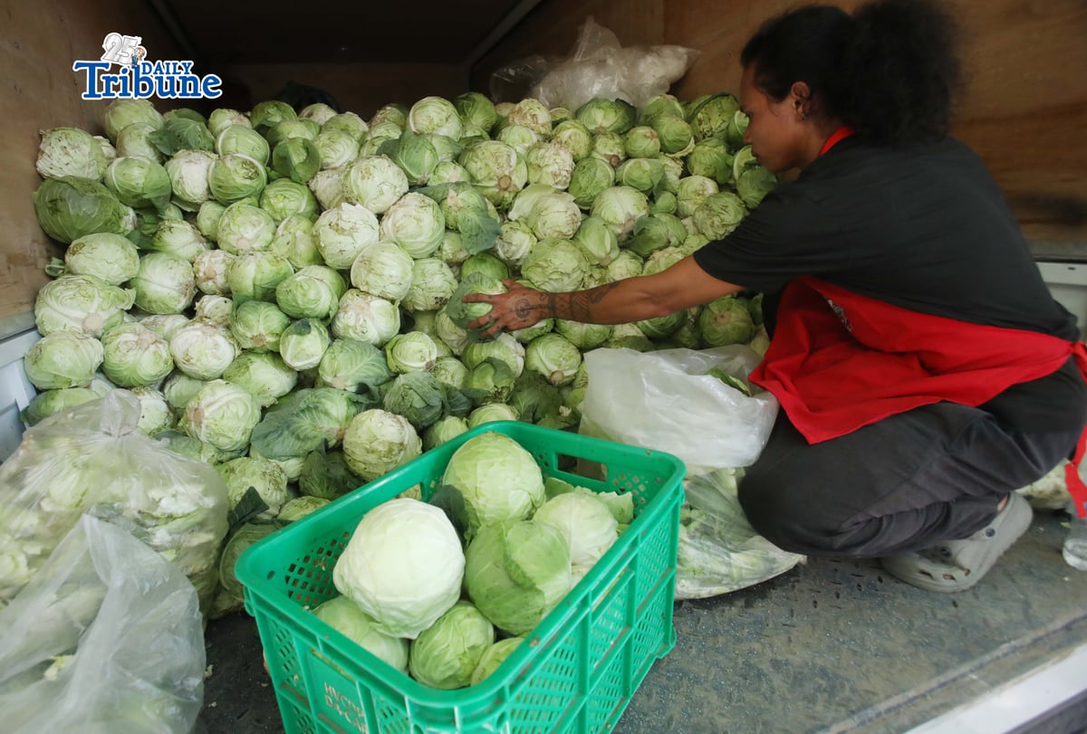 (June 08 2026) A personnel at Kadiwa Store along Elliptical in Quezon City on Monday unloads the cabbage from Mankayan Benguet, to sell at the Kadiwa ng Pangulo store at a cheaper price. Photo/Analy Labor
