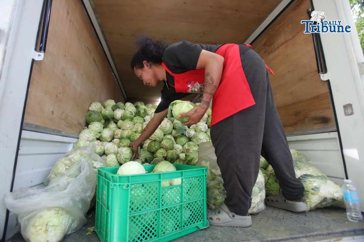 ANALY LABOR