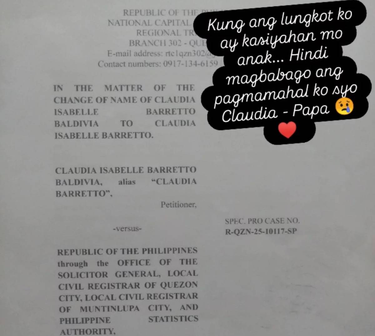 The court petition filed by Claudia Barretto.
