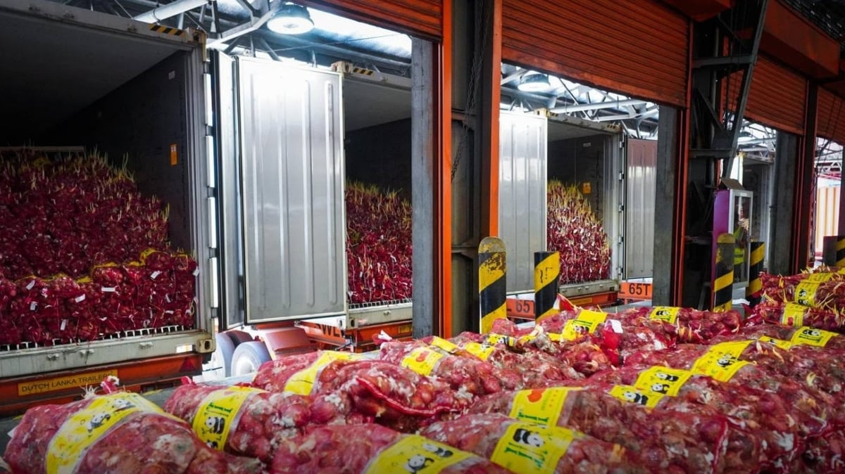 Abandoned Chinese onions seized