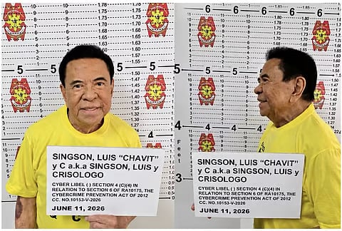 Cyberlibel: Chavit posts bail