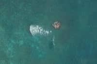 Scarborough Shoal