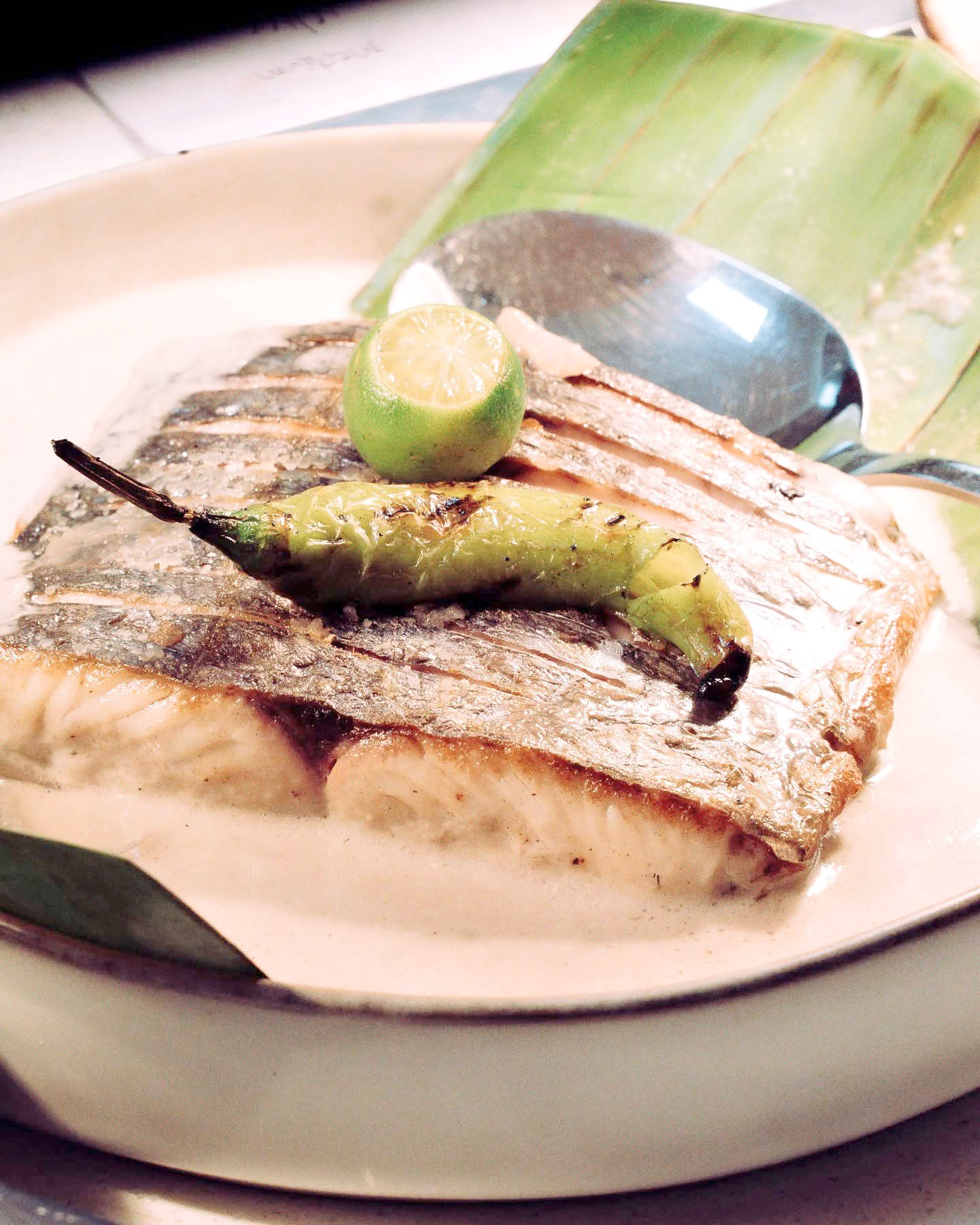 TINUTUNGANG Mahi-Mahi